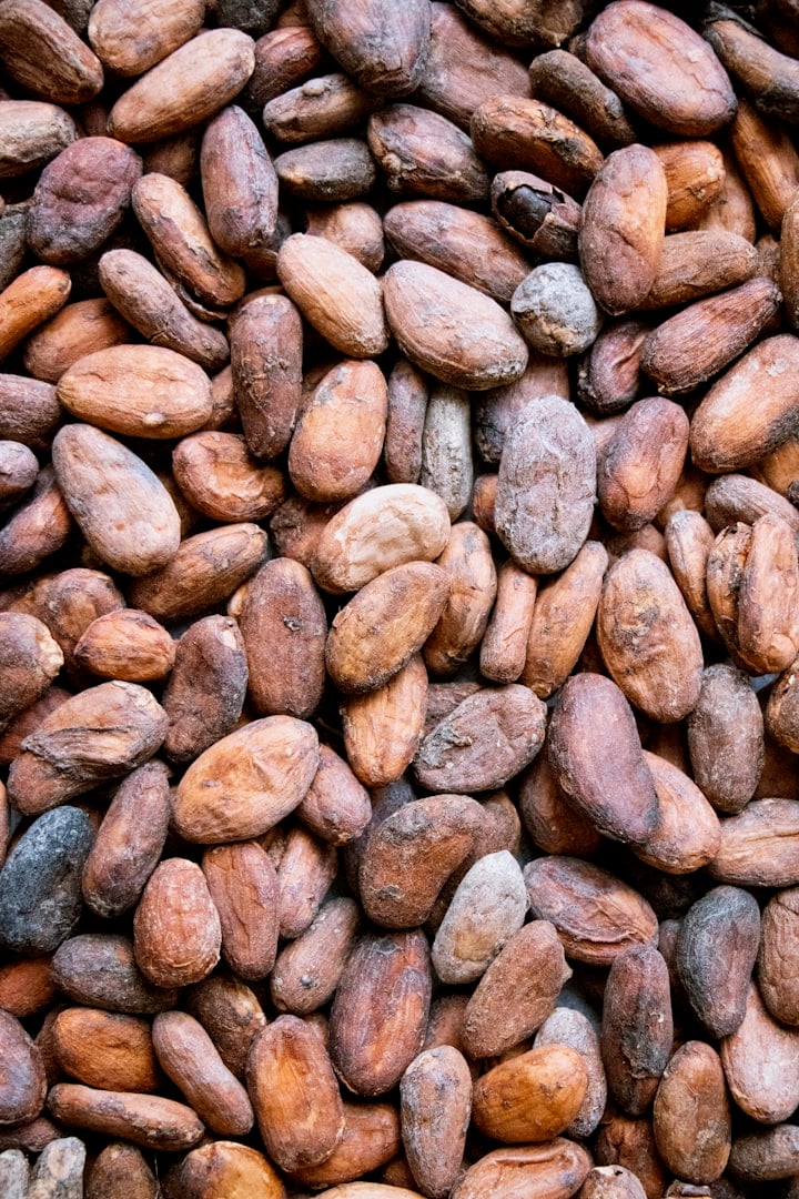 cacao